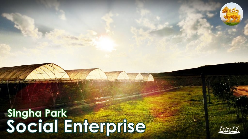 Social Enterprise